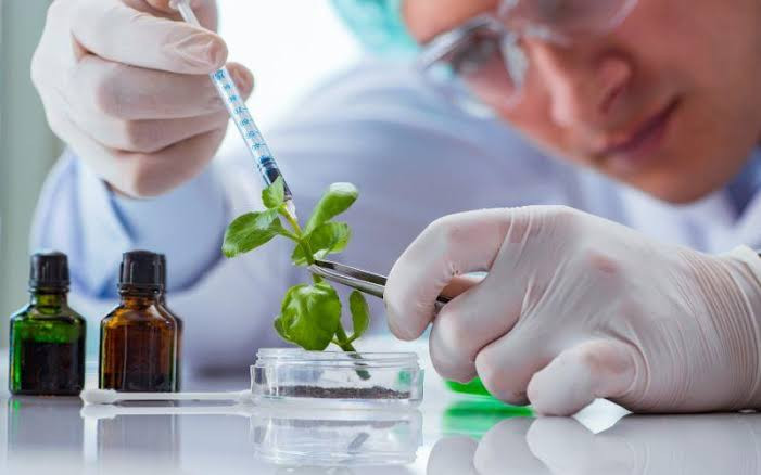 Biotecnología